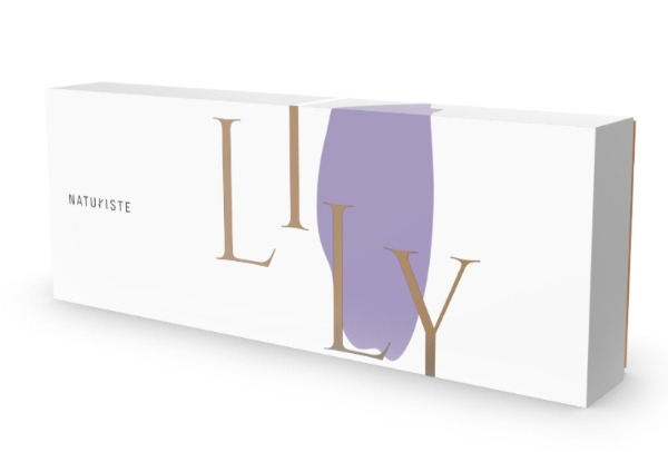folding gift box folding gift box